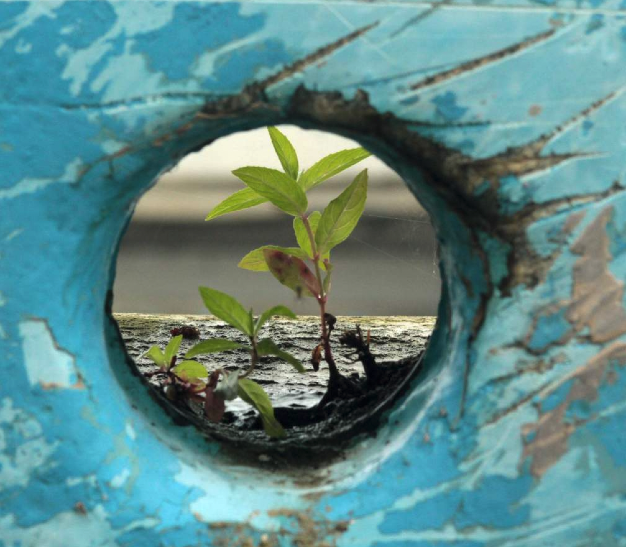 <div class="text_to_html">E-learning 2024 : Building Resilience and Responding to Shocks</div>